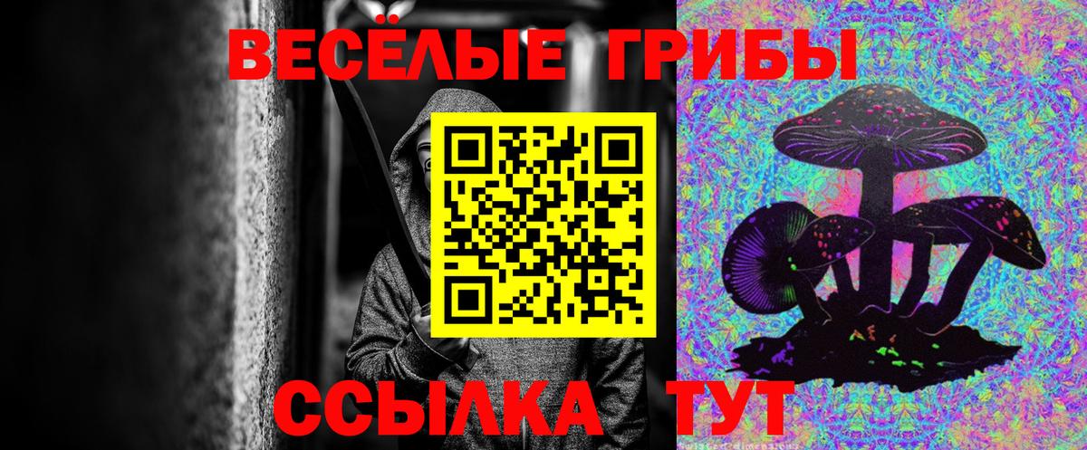 Псилоцибиновые грибы Psilocybine cubensis Лиски