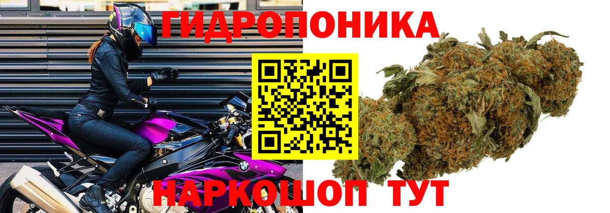 Конопля MAZAR Лиски